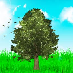 My tree